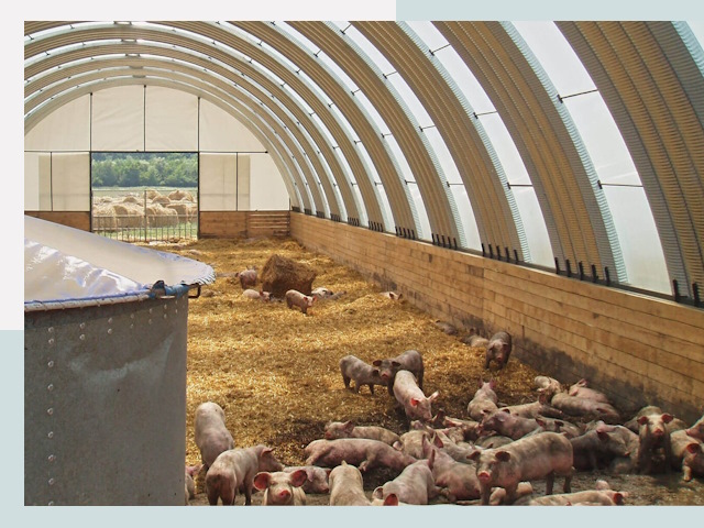 Строительство свинарников в Шумерле